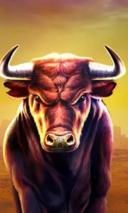 Black Bull