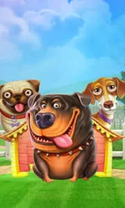 The Dog House
